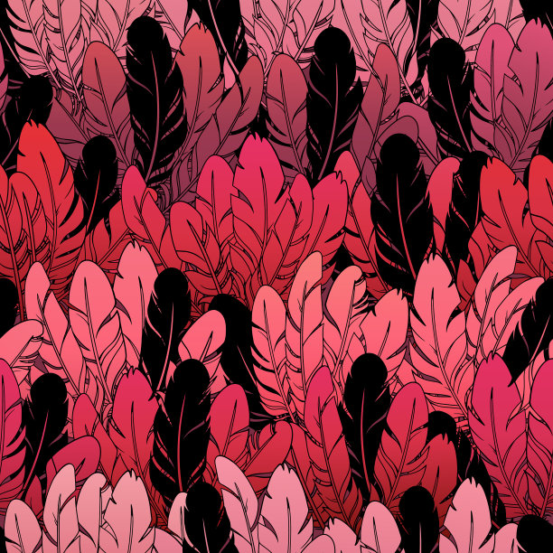 美丽的无缝图案明亮的鸟羽毛图片下载