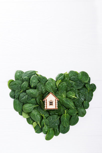 生态理念，生态家园图片下载