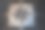 黑色和白色的罗盘玫瑰，有时被称为风玫瑰或风玫瑰用地板瓷砖马赛克图片下载