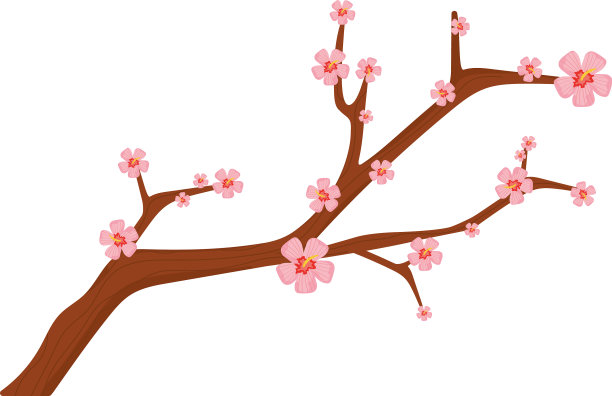 韩国的树枝图片下载