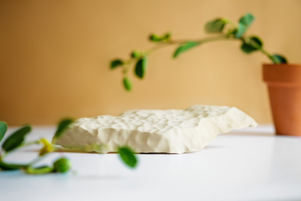 背景化妆品的天然米色。石头基座和绿色的枝叶在米色的背景。前视图图片下载