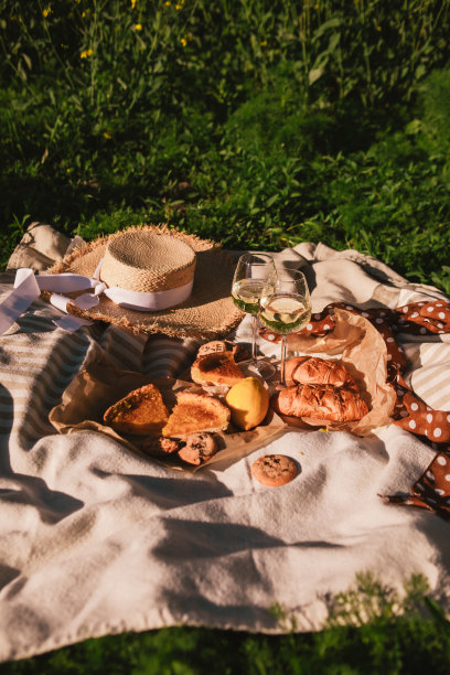 野餐概念杯酒面包在户外毯子上图片下载