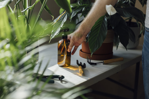 近景照片，一个手拿洒水器在桌子上与园艺设备和植物图片下载