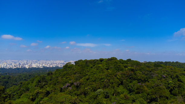 São森林之后的圣保罗图片下载
