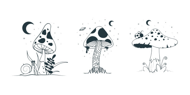配有神秘的神奇蘑菇。天体真菌收集。怪异的元素。图片下载