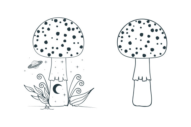 神秘的蘑菇。天生真菌，具有植物元素的真菌。图片下载