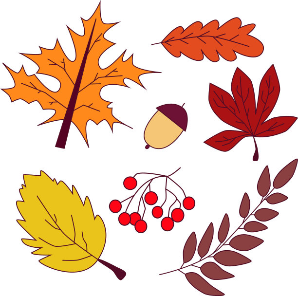 一套秋叶图片下载