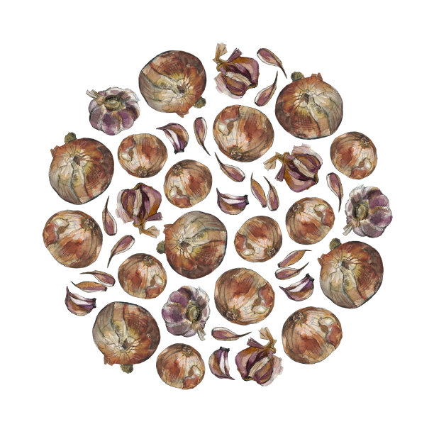 蒜头和黄洋葱圆形排列图片下载