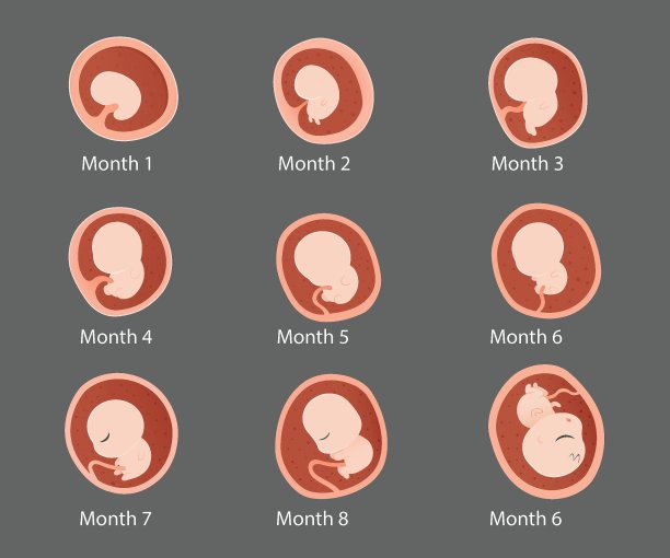 商务人士图标图片下载