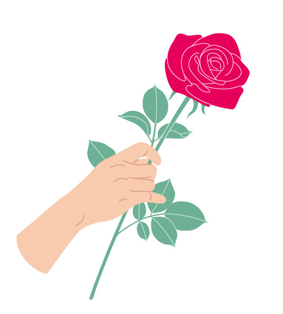女性手捧盛开的玫瑰枝。图片下载