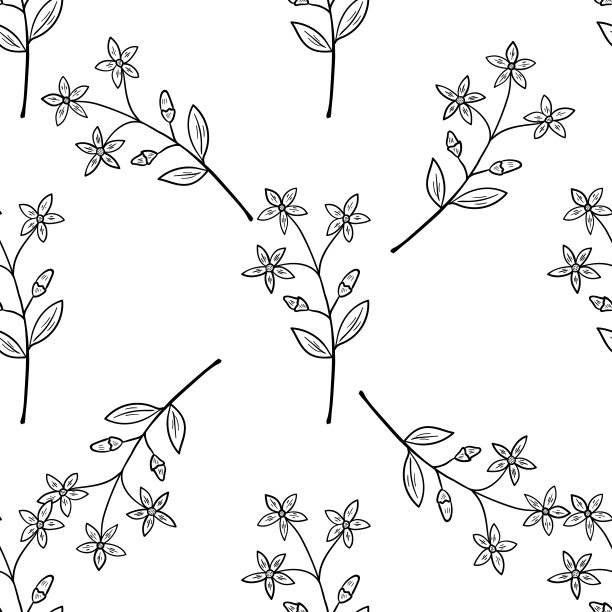 世纪，无缝b-w dd ww herb isol图片下载