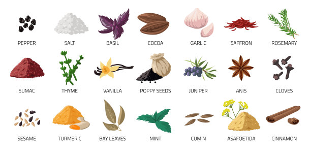香料。卡通食品调味料。烹饪食谱的配料。大蒜和罗勒叶。天然丁香或孜然。辛辣的胡椒。载体有机新鲜或干粉调味品图片下载