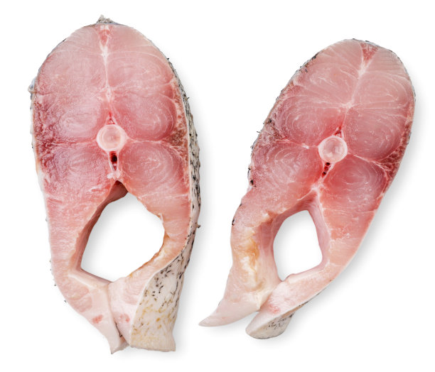 在白色的背景上分割的鱼片，孤立的。俯视图图片下载