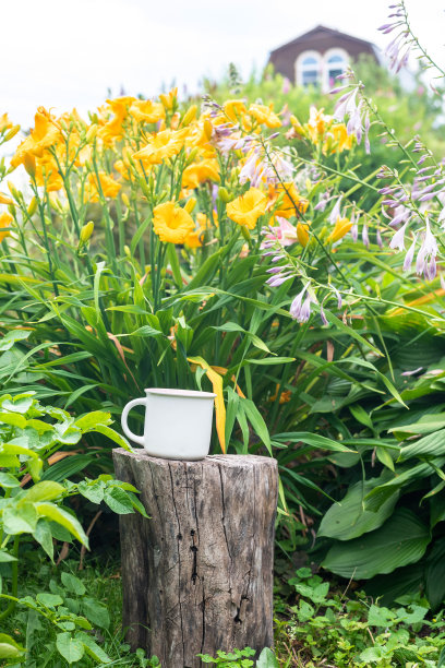 白色马克杯在花园里。农舍乡村风格。白色咖啡杯模型。空白马克杯印刷设计模板。图片下载