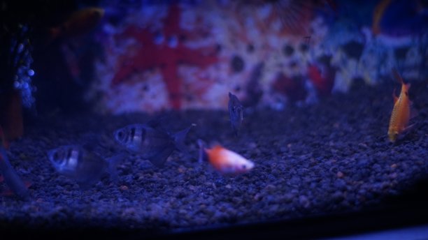 水族馆图片下载