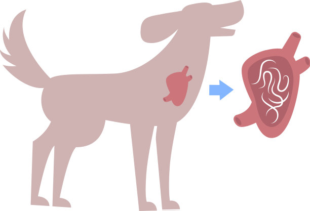 寄生虫平面构成图片下载