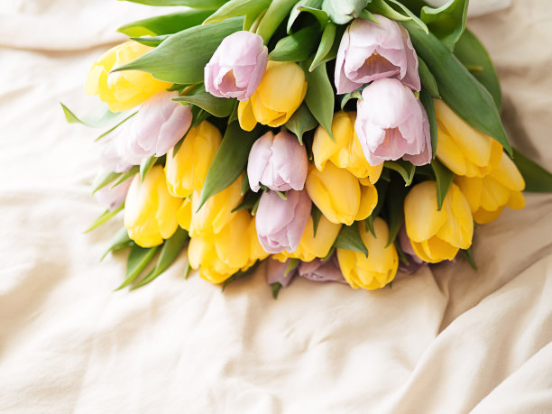 亚麻织物上黄色和淡紫色的彩色郁金香的精致花束。软的焦点。审美的照片图片下载