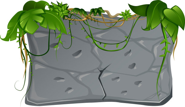 卡通热带藤本植物图片下载