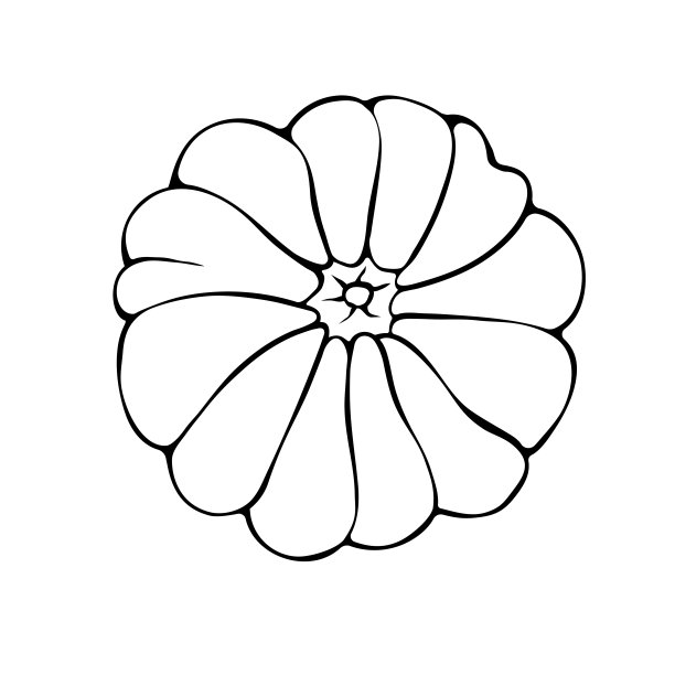 矢量轮廓南瓜涂鸦风格，俯视图。在白色背景上隔离的黑色轮廓剪纸。象征万圣节、秋天、庄稼、感恩节、硕果累累的一年图片下载