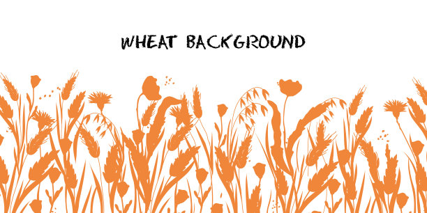 小麦，大麦或黑麦背景。用来做面包、面包和啤酒的谷类植物。图片下载