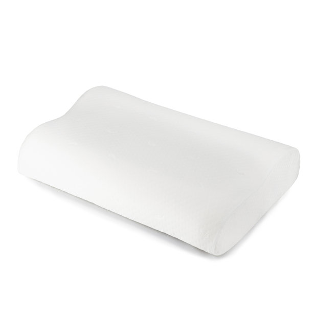 解剖枕头由泡沫材料制成，具有记忆效果，隔离在白色背景上图片下载