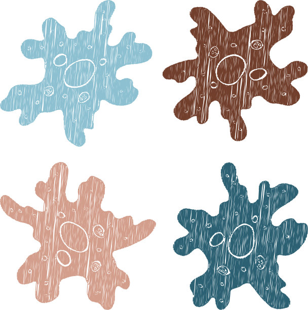 轮廓矢量潦草画抽象变形虫图片下载