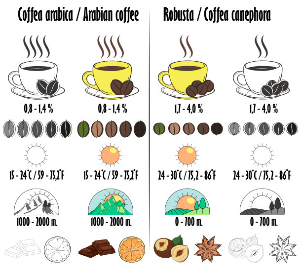 阿拉比卡和罗布斯塔。咖啡的种类以生长的图标，咖啡因的数量，香气，成熟的最佳温度来描述。图片下载