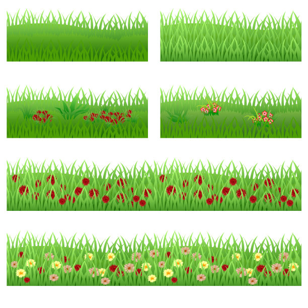 草坪上的一套花园花图片下载