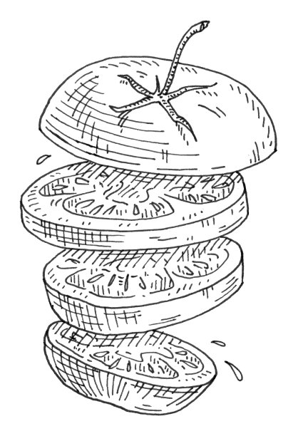 飞舞的番茄片。古董孵化插图。图片下载