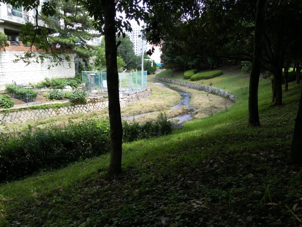 城市的小河流图片下载