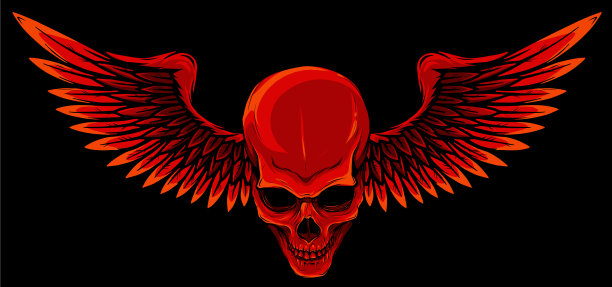 鸟翼头骨图片下载