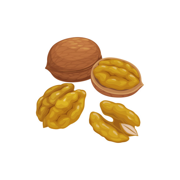 棕核桃孤立素食食品小吃仁图片下载