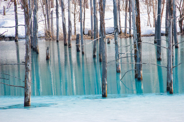 蓝色的池塘，春天结冰图片下载