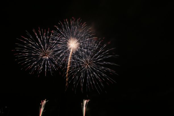 Gamagori的当地烟花表演图片下载