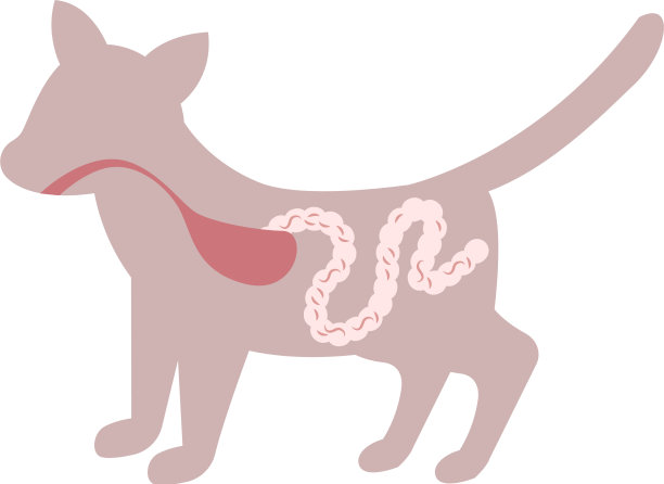 寄生虫平图标图片下载