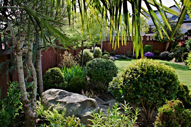 修剪成形的花园图片下载