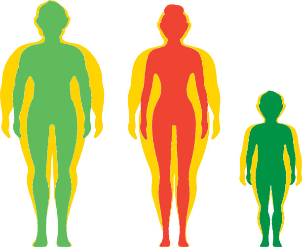 减肥观念对饮食的影响图片下载