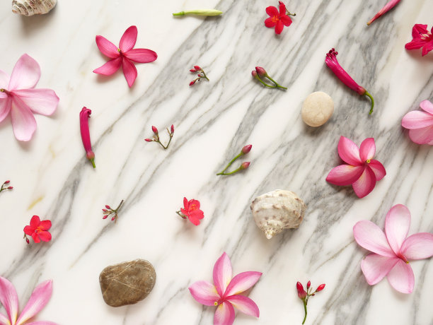 横幅或墙纸上有spa花，禅意石，贝壳孤立在白色大理石上。图片下载