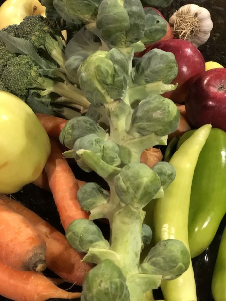 夏季蔬菜图片下载