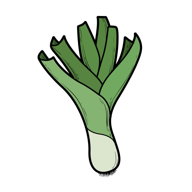 青葱颜色变化为着色页图片下载