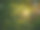 美丽的乡村风景。阳光透过绿色的夏季森林的树叶图片下载