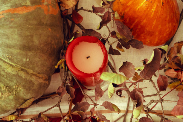 时尚的感恩节秋天餐桌装饰南瓜和干树枝图片下载