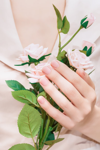 女性手与粉红色指甲设计。女手捧玫瑰花束。女人手上粉红色的织物背景图片下载