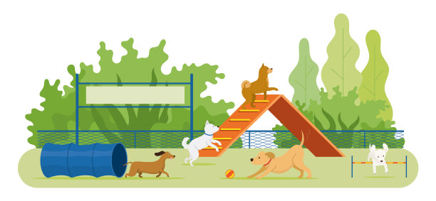 狗在操场上玩耍图片下载