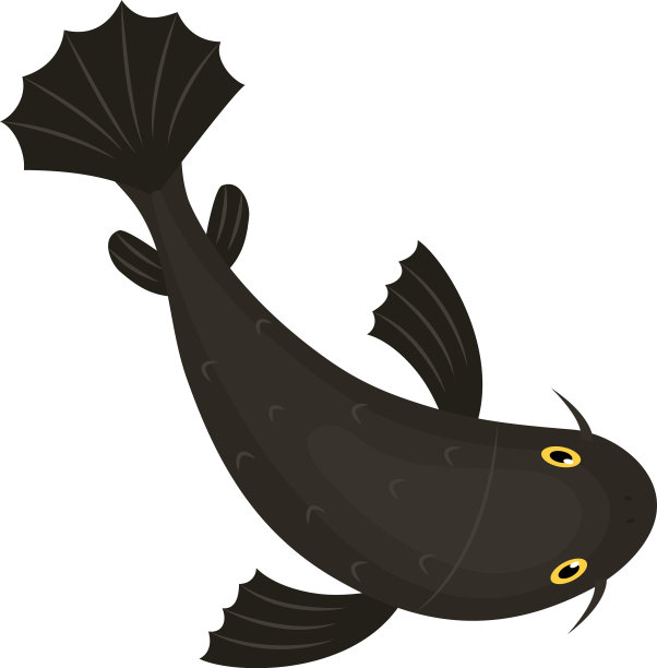 黑色鲤鱼跃出图片下载