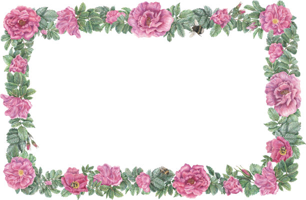 长方形的框架，上面有玫瑰花，树叶和大黄蜂。图片下载
