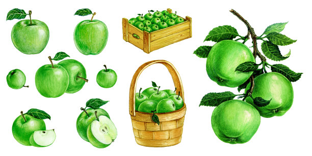 篮子里的青苹果、带叶子的苹果、树枝上的苹果图片下载