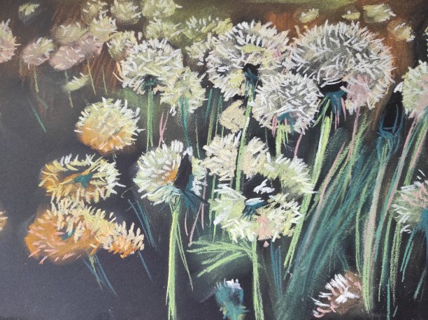 夜晚灯光下的蒲公英。用蜡笔画的花。图片下载