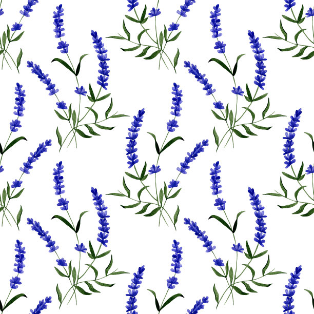 薰衣草无缝模式。为织物，包装，装饰印刷，纺织的背景和墙纸。水彩花卉插图。图片下载