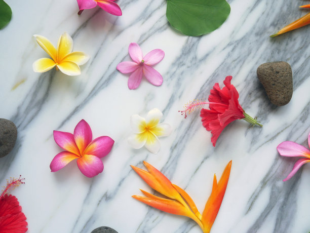 横幅或墙纸上有spa花，禅宗石头和孤立的白色大理石。图片下载